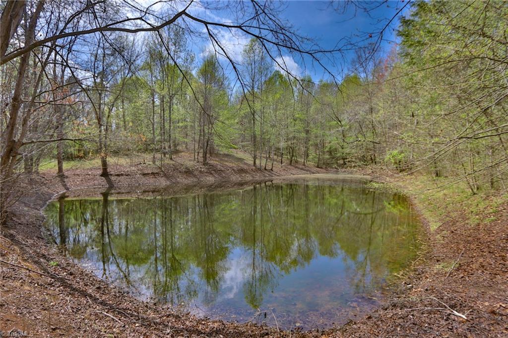 1636 Fred Hinshaw Road, Yadkinville, North Carolina image 4