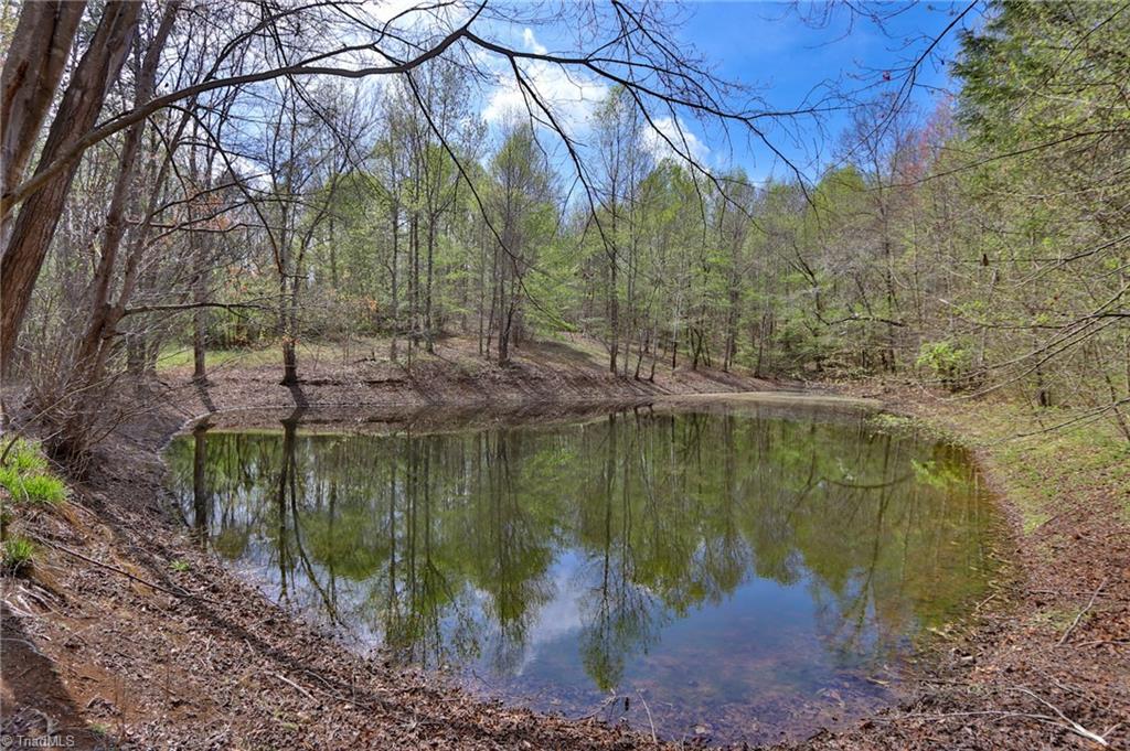 1636 Fred Hinshaw Road, Yadkinville, North Carolina image 9