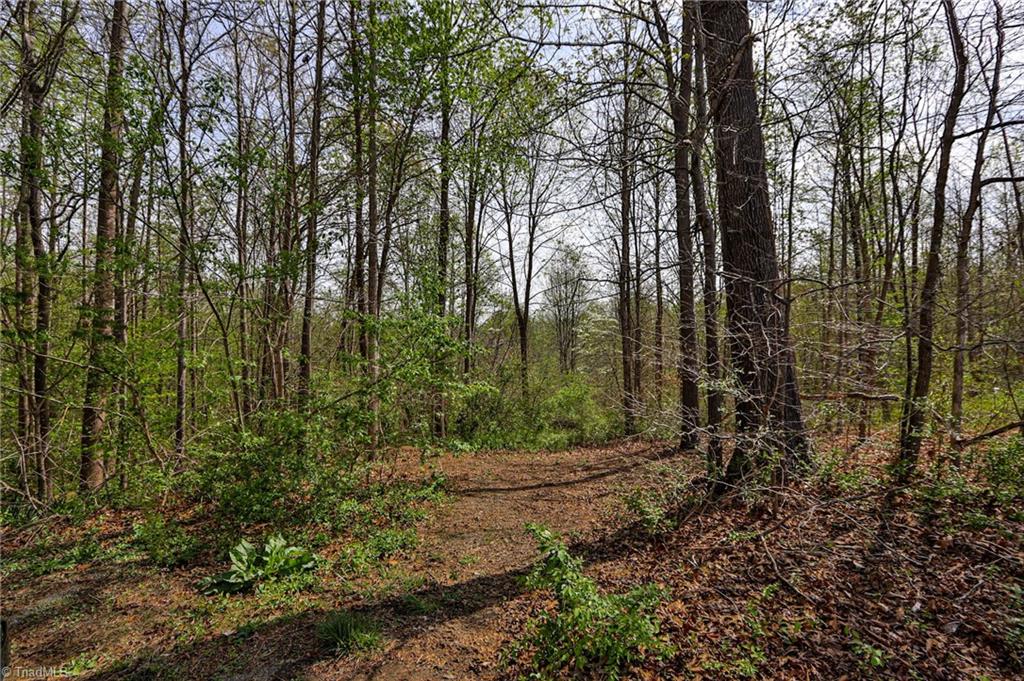 1636 Fred Hinshaw Road, Yadkinville, North Carolina image 6