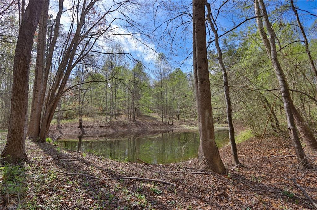 1636 Fred Hinshaw Road, Yadkinville, North Carolina image 1