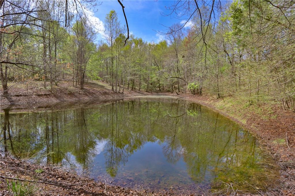 1636 Fred Hinshaw Road, Yadkinville, North Carolina image 10