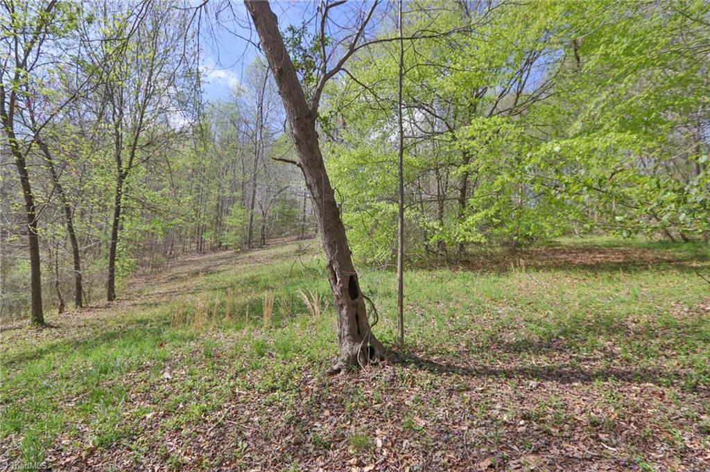 1636 Fred Hinshaw Road, Yadkinville, North Carolina image 11