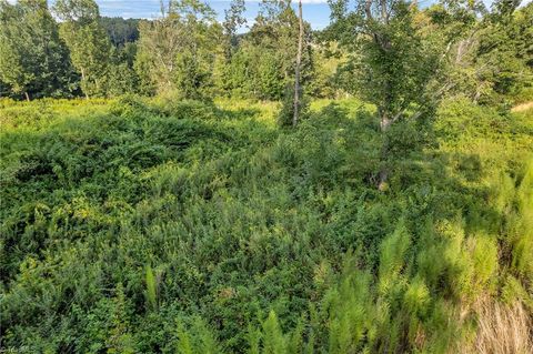 Vacant Land For Sale - LOT 24 Regal Oaks Drive<br/> Wilkesboro, NC 28697