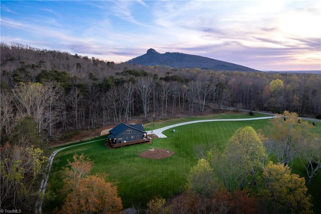 Photo of 1626 Black Mountain Road, Pilot Mountain, NC 27041 (MLS # 1213606)