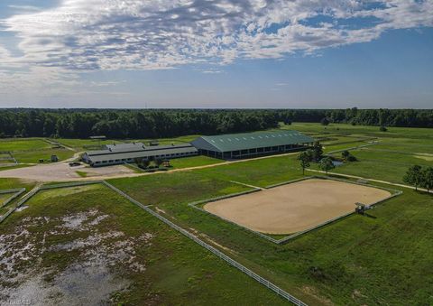 Photo of 9141 Hasty Road, Laurinburg, NC 28352 (MLS # 1194659)