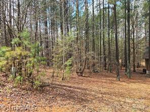 225 Cove Wood Drive, Denton, North Carolina image 3