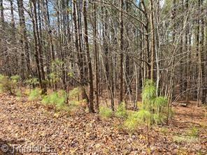 225 Cove Wood Drive, Denton, North Carolina image 5