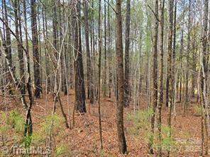 225 Cove Wood Drive, Denton, North Carolina image 2