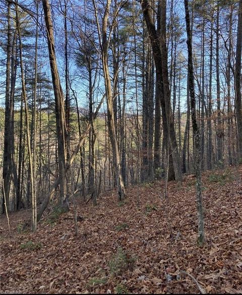 Vacant Land For Sale - TBD LOTS 1 & 2 Toe River Lane<br/> Avery County, Newland, NC 28657