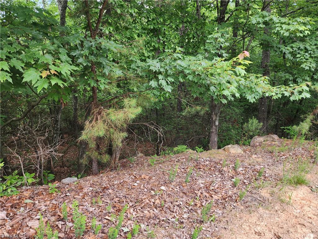 2904 E Brocktown Road, Moravian Falls, North Carolina image 44