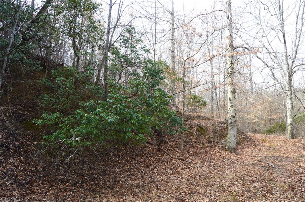 8383 Nc Highway 14, Eden, North Carolina image 10