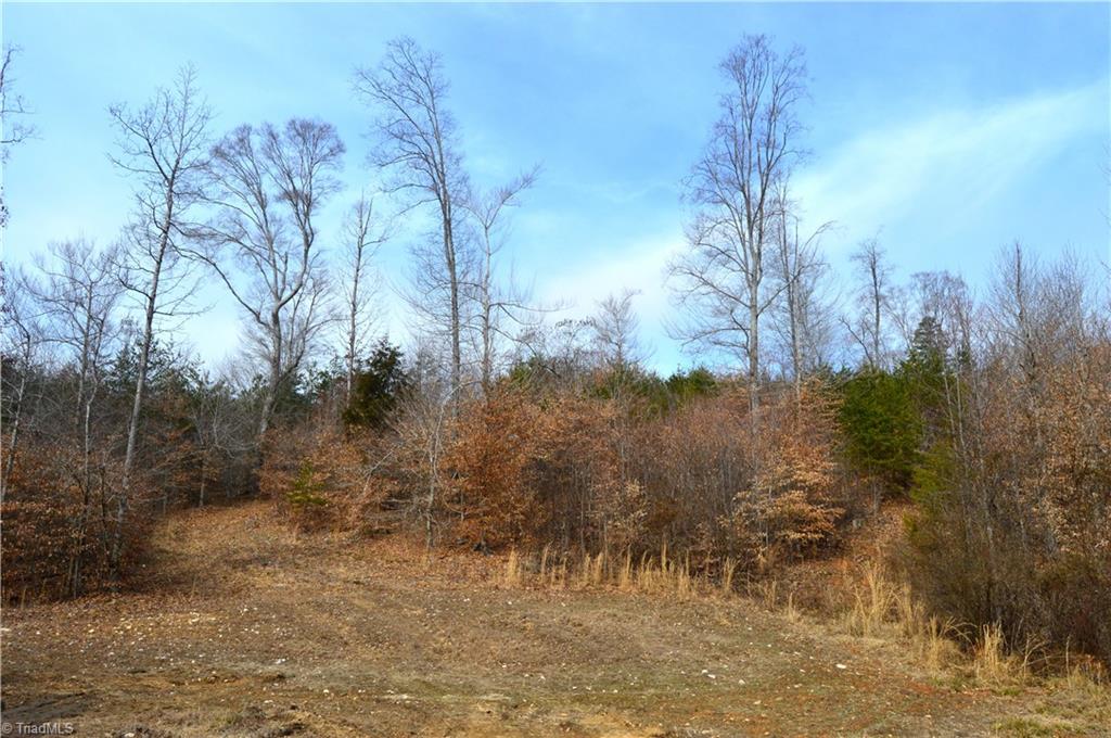 8383 Nc Highway 14, Eden, North Carolina image 6