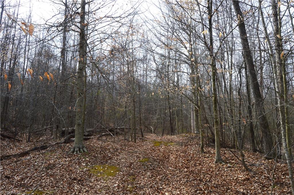 8383 Nc Highway 14, Eden, North Carolina image 12
