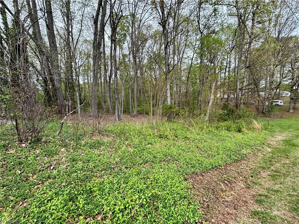 4745 Briggs Road, Tobaccoville, North Carolina image 41