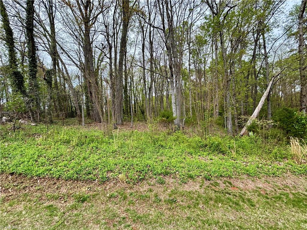 4745 Briggs Road, Tobaccoville, North Carolina image 42