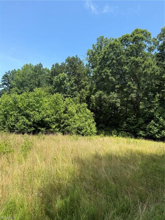 6343 Smithwood Road, Liberty, North Carolina image 20