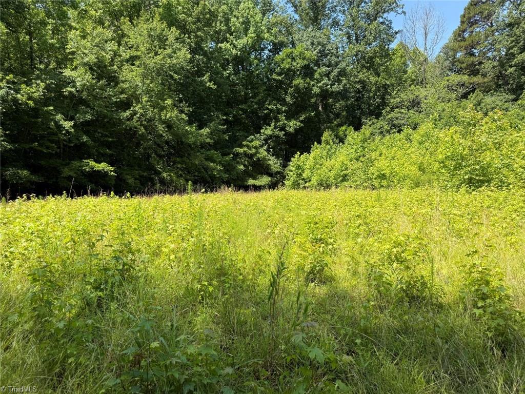 6343 Smithwood Road, Liberty, North Carolina image 16