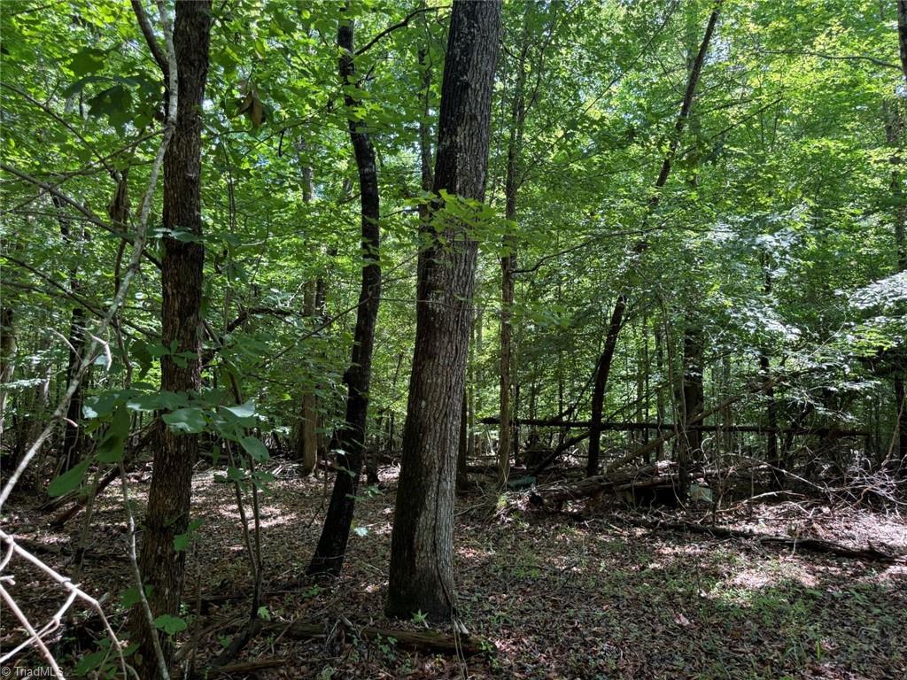 6343 Smithwood Road, Liberty, North Carolina image 13
