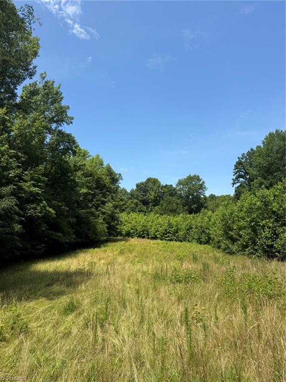 6343 Smithwood Road, Liberty, North Carolina image 4