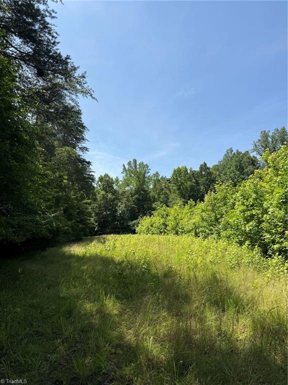 6343 Smithwood Road, Liberty, North Carolina image 14