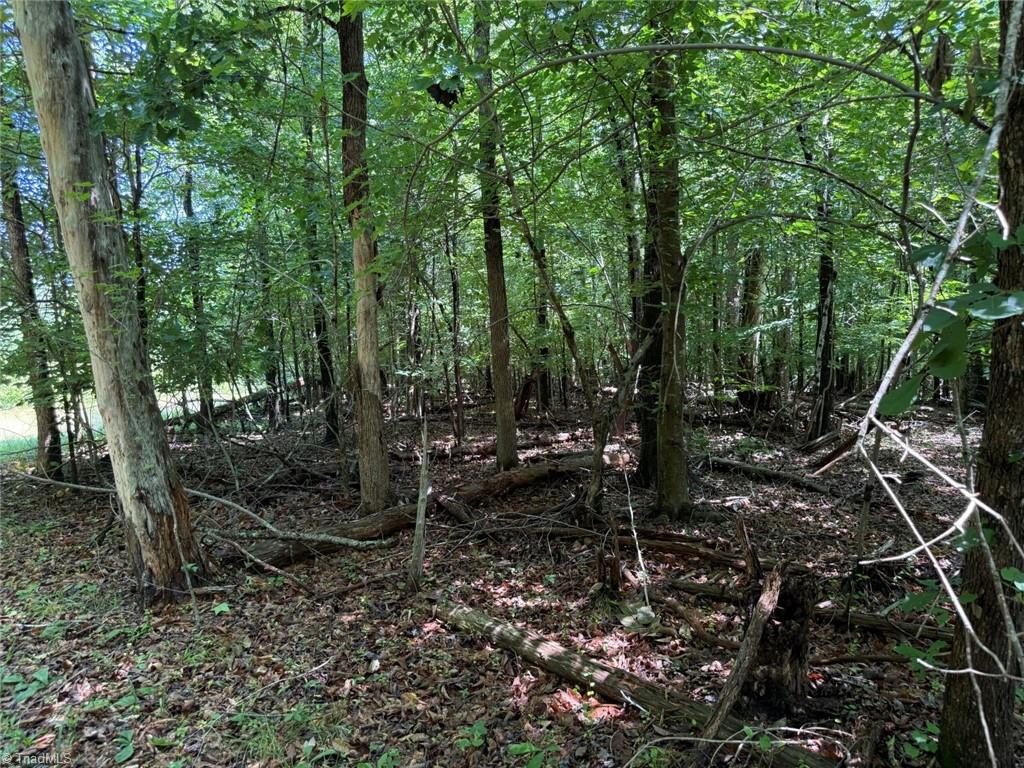 6343 Smithwood Road, Liberty, North Carolina image 17
