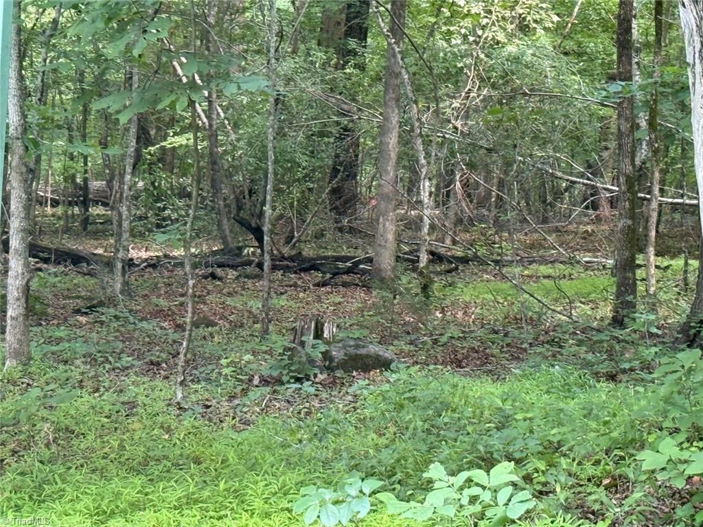 6343 Smithwood Road, Liberty, North Carolina image 12