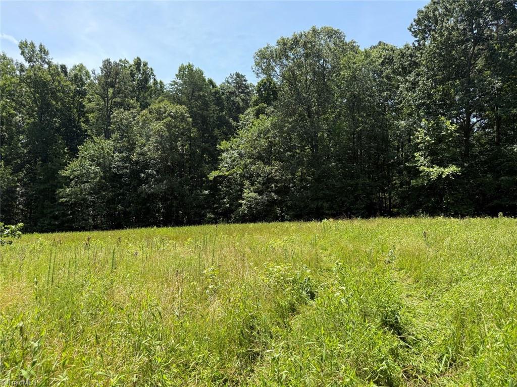 6343 Smithwood Road, Liberty, North Carolina image 5
