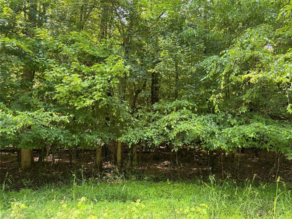 6343 Smithwood Road, Liberty, North Carolina image 19