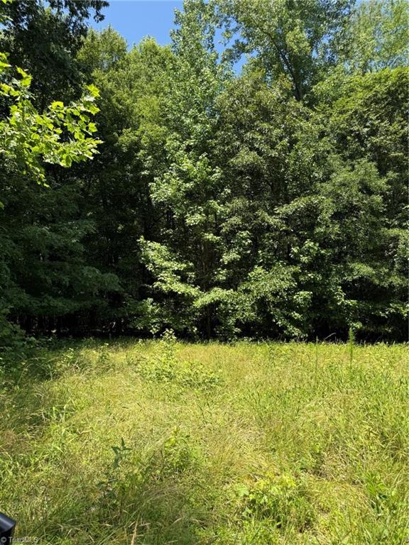 6343 Smithwood Road, Liberty, North Carolina image 15