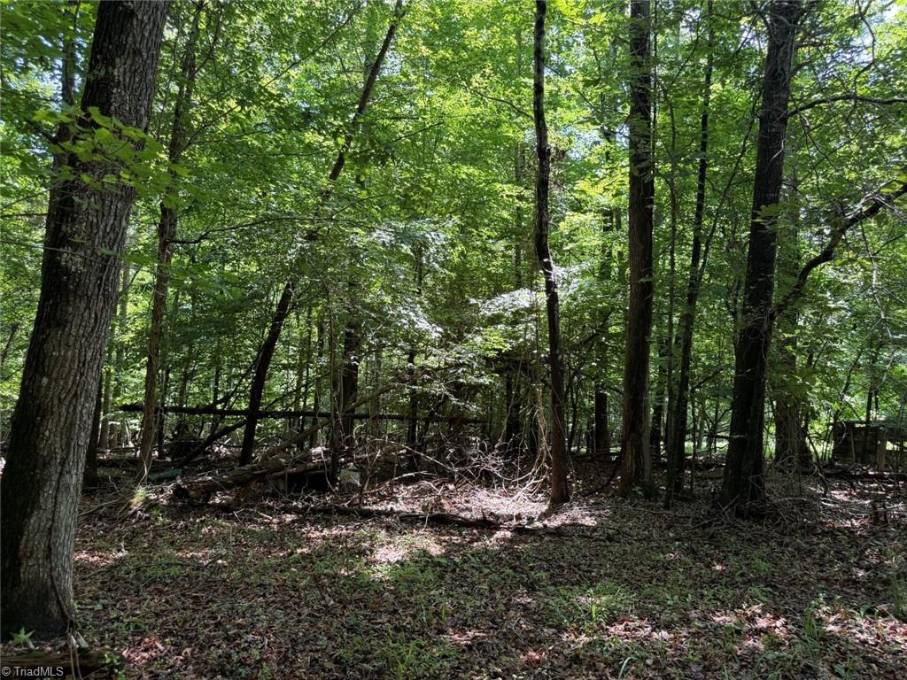 6343 Smithwood Road, Liberty, North Carolina image 11