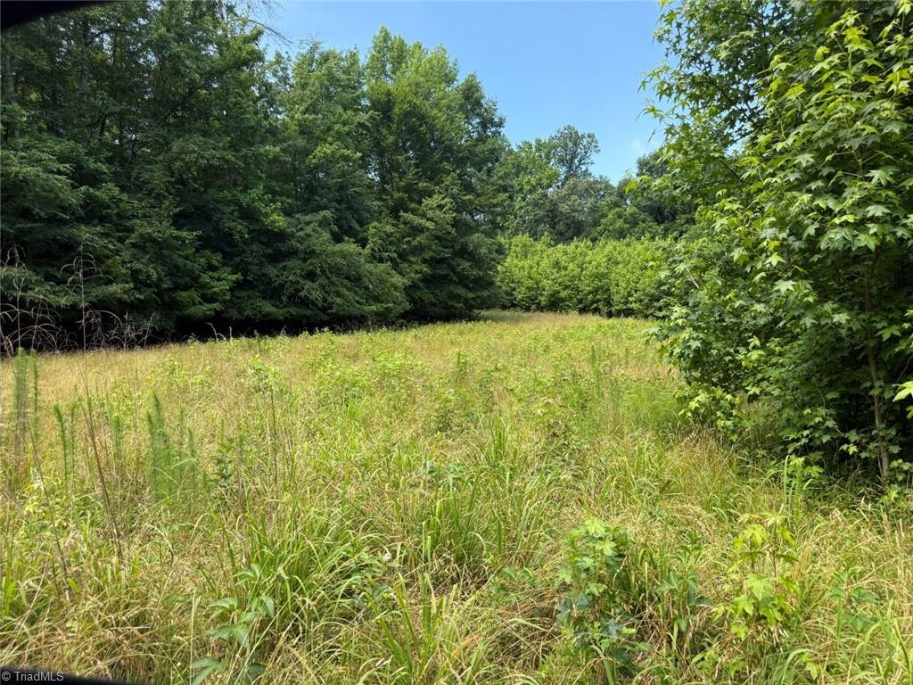 6343 Smithwood Road, Liberty, North Carolina image 6