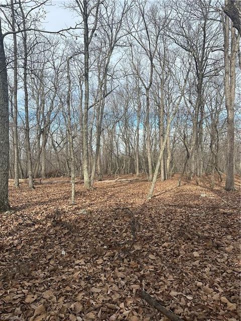 Homes For Sale - 1527 Sierra Trace Road<br/> Denton, NC 27239