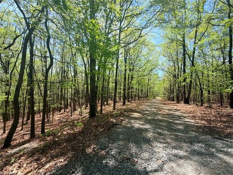 Vacant Land For Sale - TBD Raven Ridge Trail<br/> Dobson, NC 27017