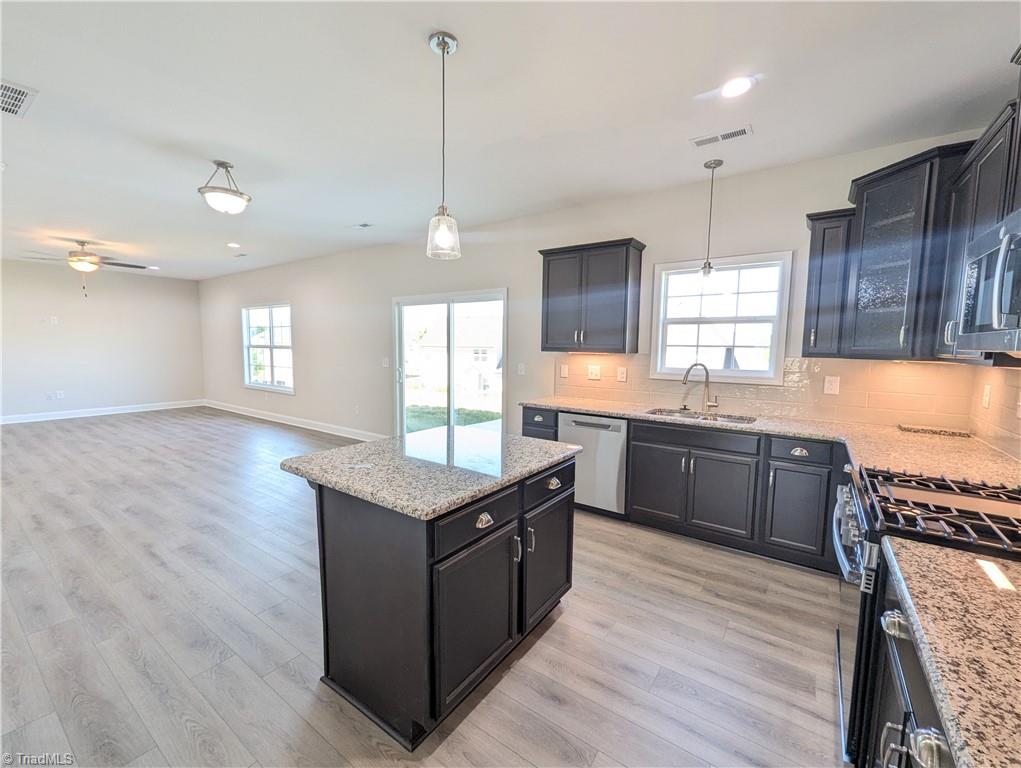 738 Palomino Mustang Drive #690, Whitsett, North Carolina image 4