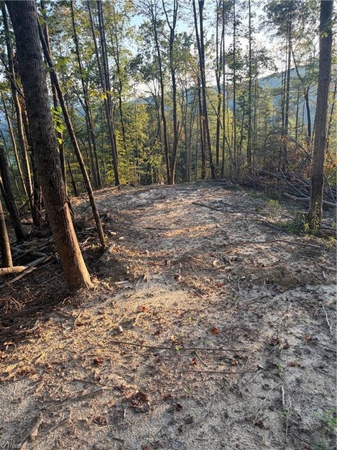 Vacant Land For Sale - TBD LOT 2 Old Nc Highway 16<br/> Millers Creek, NC 28651