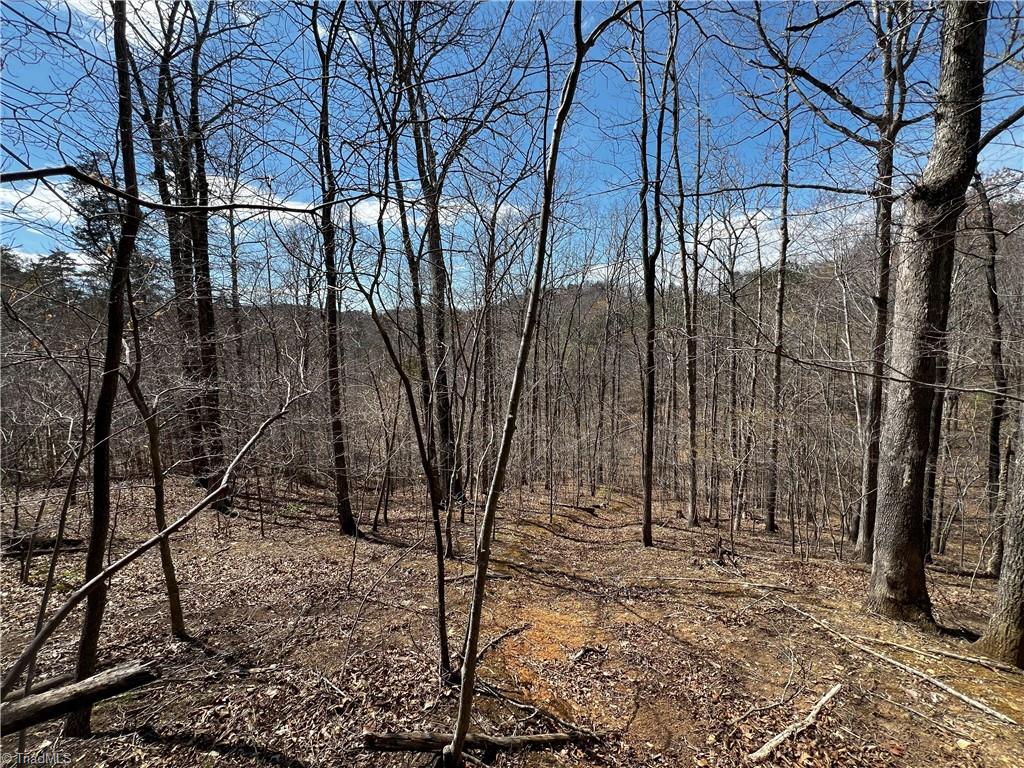 Bob Mabe Road, Danbury, North Carolina image 6