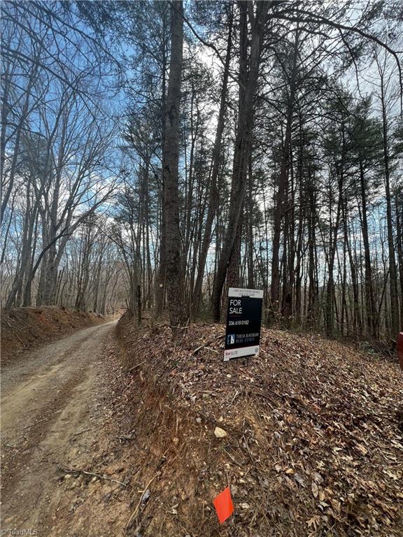 Bob Mabe Road, Danbury, North Carolina image 2