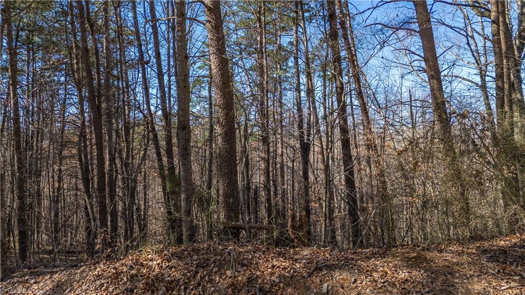 Bob Mabe Road, Danbury, North Carolina image 3