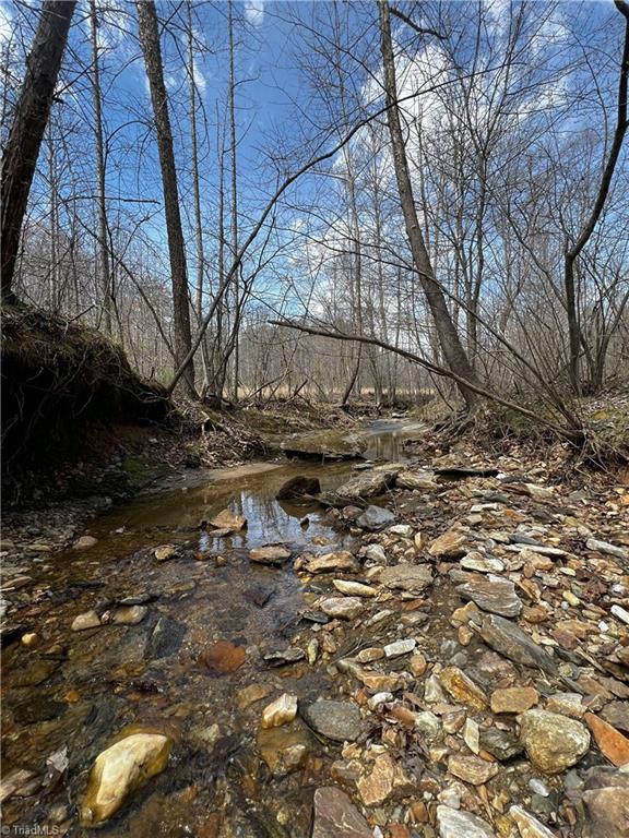 Bob Mabe Road, Danbury, North Carolina image 9