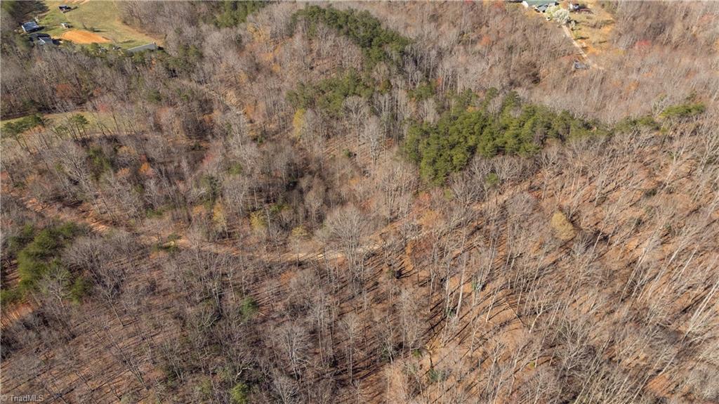 Bob Mabe Road, Danbury, North Carolina image 13