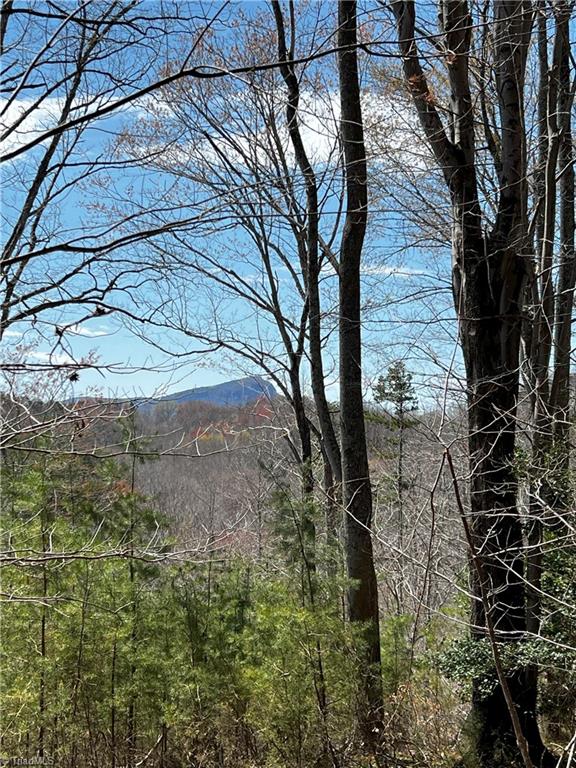 Bob Mabe Road, Danbury, North Carolina image 5