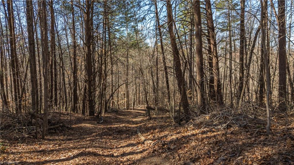 Bob Mabe Road, Danbury, North Carolina image 11