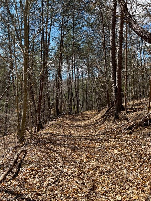 Bob Mabe Road, Danbury, North Carolina image 10