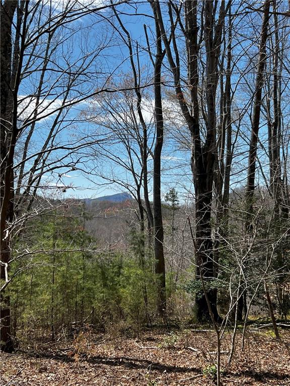 Bob Mabe Road, Danbury, North Carolina image 4