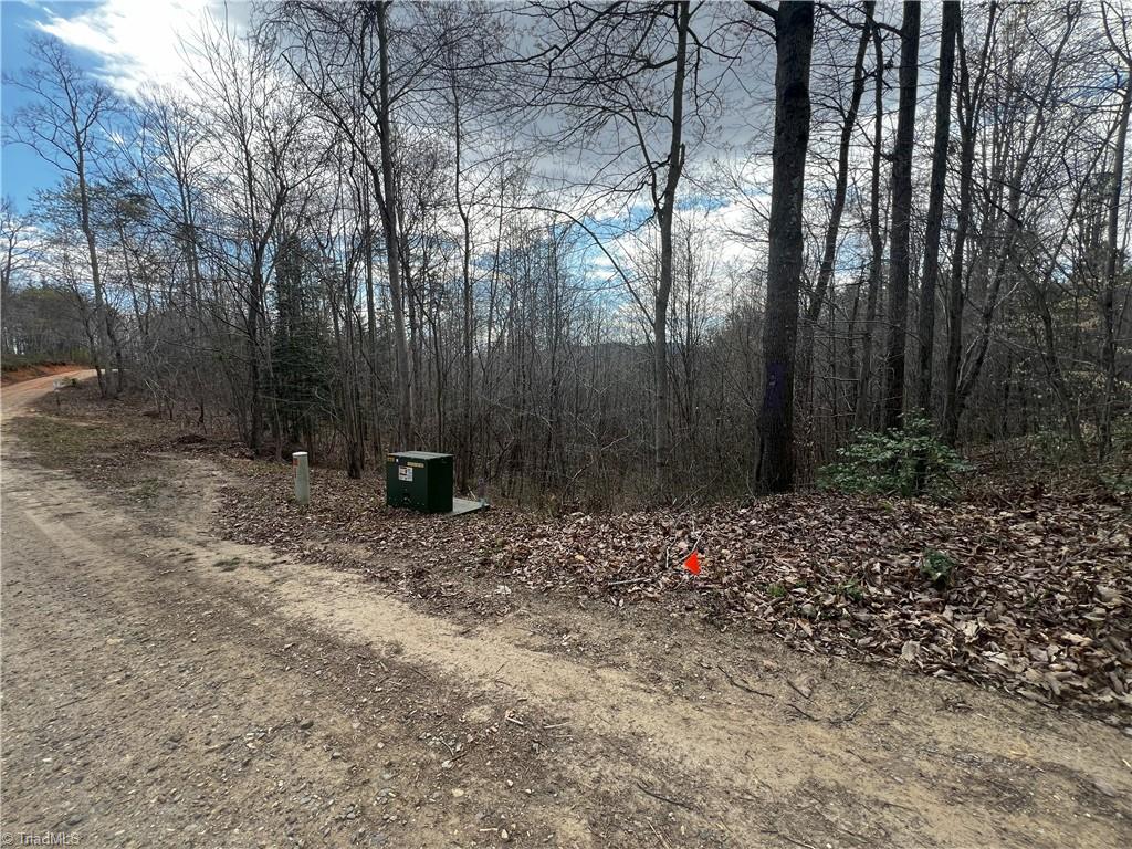Bob Mabe Road, Danbury, North Carolina image 12