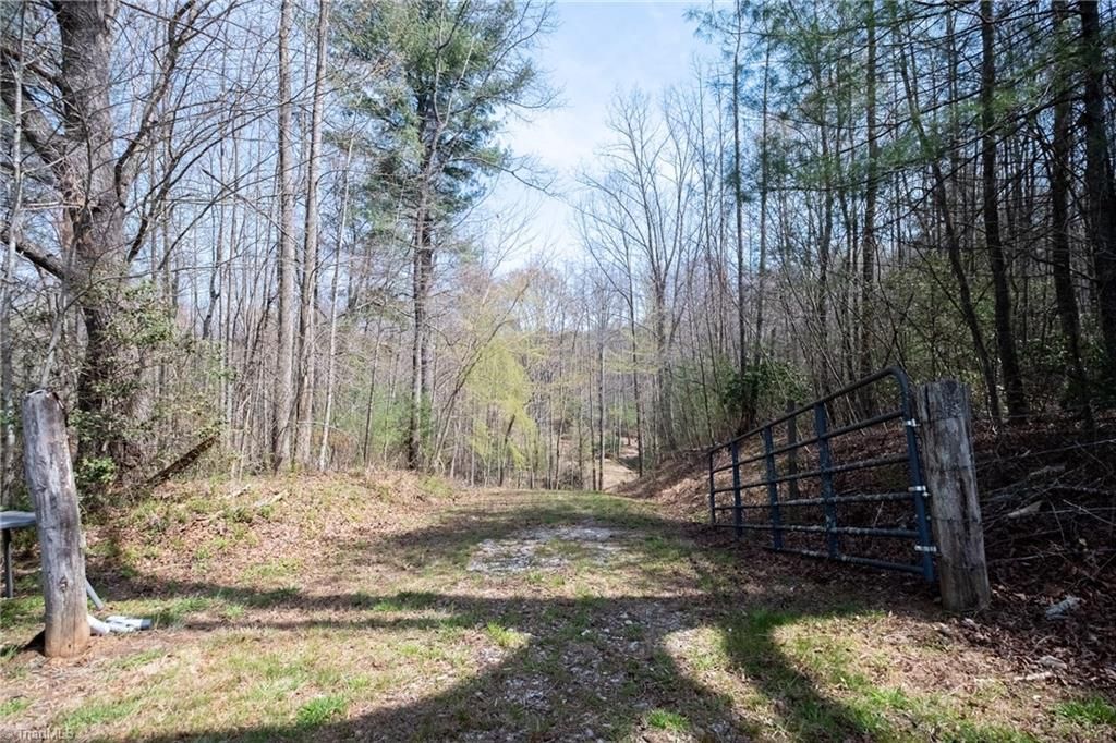 Photo of 1305 Brim Road, Mount Airy, NC 27030 (MLS # 1213990)