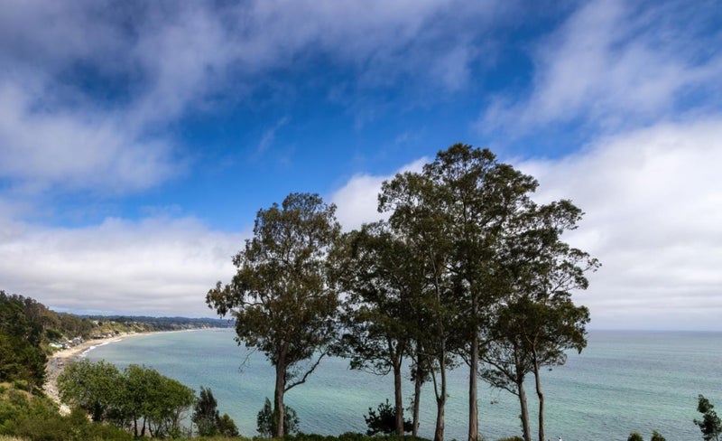 850 Park Avenue 5C