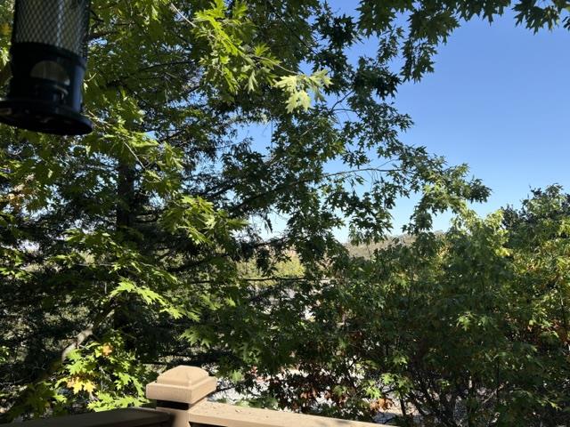 5940 Jenny Lind Court