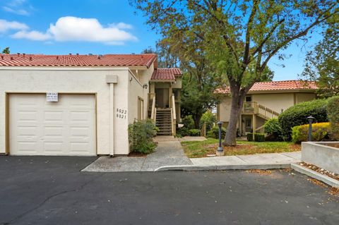 Tiny photo for 8021 Pinot Noir Court, SAN JOSE, CA 95135 (MLS # ML82024988)