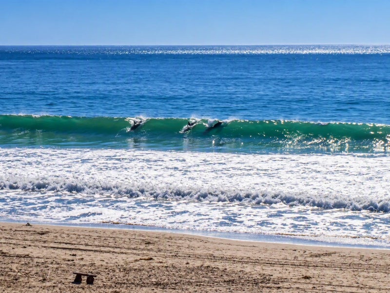 460 Oceanview Drive